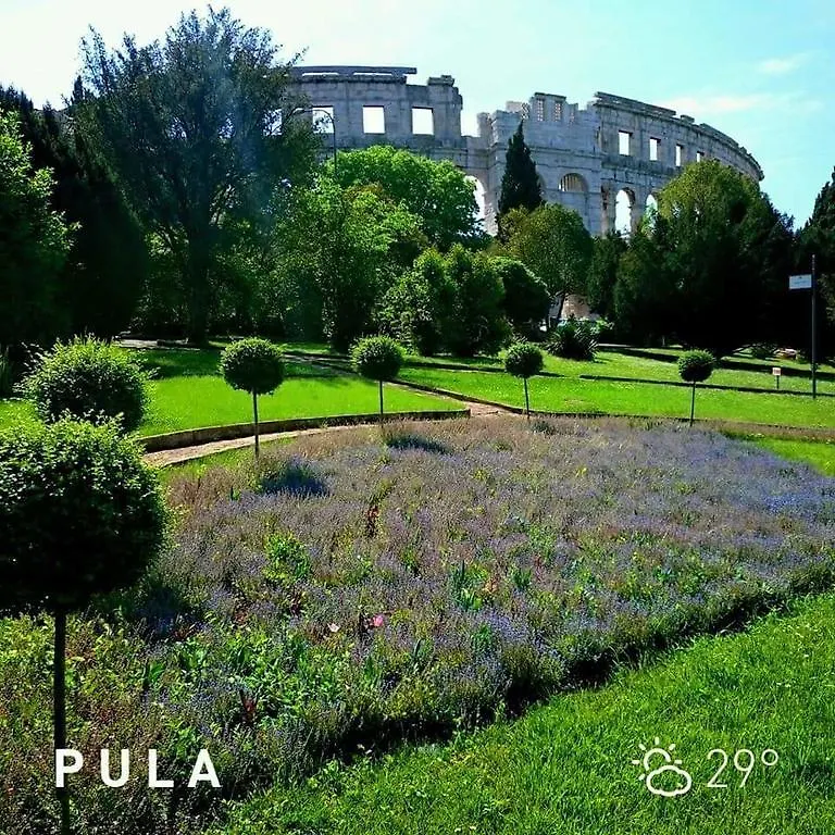 Apartments Danka Pula